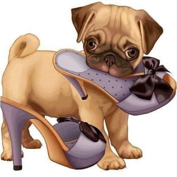 Lety's Bazaar Everything *100% AUTHENTIC*๐๐๐๐ฟ - Picture 5 of 9